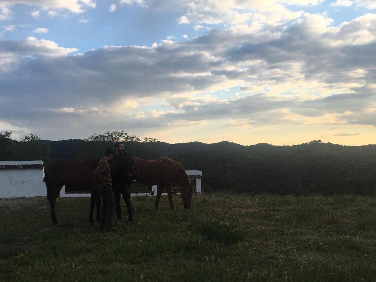 Casa Rural Monterrey Aroche Dış mekan fotoğraf